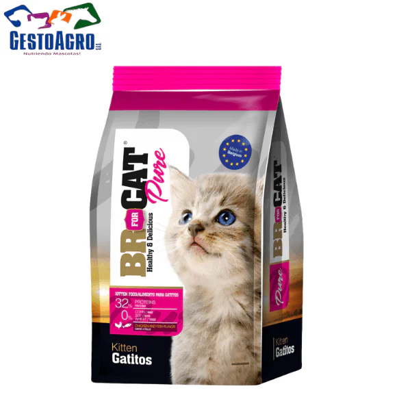 BR FOR CAT PURE GATITOS BR FOR CAT PURE GATITOS