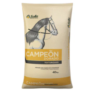 CAMPEON DORADO TEXTURIZADO - SOLLA