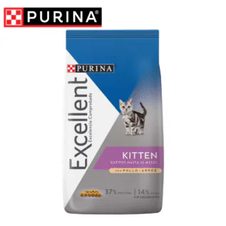 EXCELLENT KITTEN