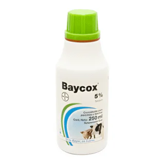 BAYCOX