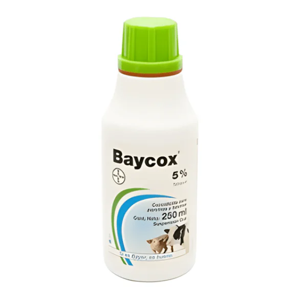 BAYCOX