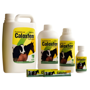 CALOXFEN