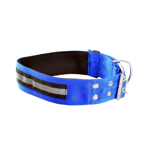 COLLARES DE LUJO PARA MASCOTAS COLLARES DE LUJO PARA MASCOTAS