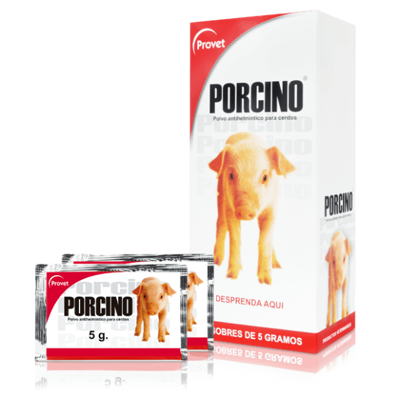PORCINO PORCINO