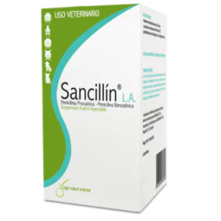 SANCILLÍN L.A