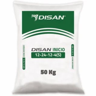 Disan Inicio 12-24-12+4(S)