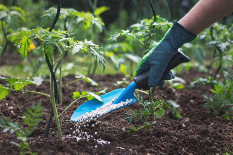 Tipos de fertilizantes: cómo elegir el adecuado para mejorar el rendimiento de tu cultivo