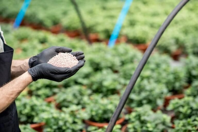 ¿Cómo elegir el fertilizante correcto según el tipo de cultivo y el suelo?