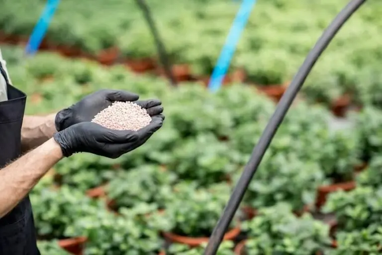¿Cómo elegir el fertilizante correcto según el tipo de cultivo y el suelo?