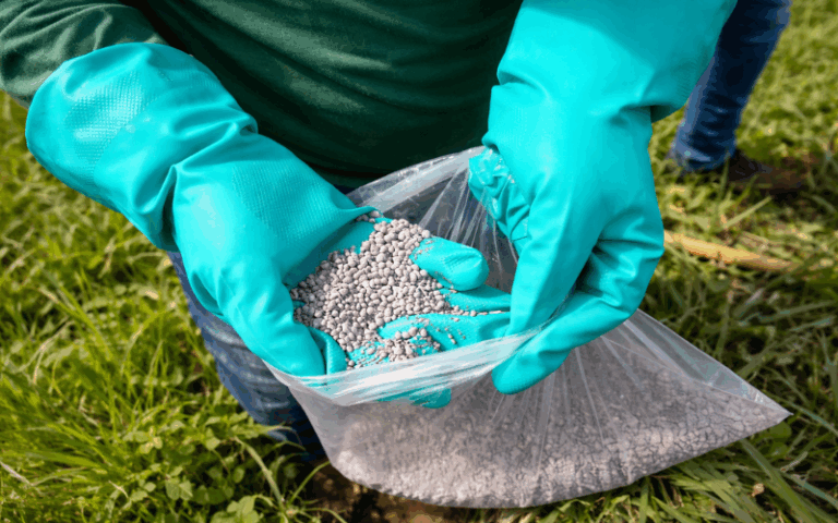 Fitozym y Raizagro: beneficios poderosos para tus cultivos