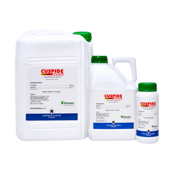 Cuspide 480 SL Cuspide 480 SL