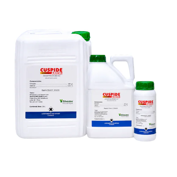 Cuspide 480 SL Cuspide 480 SL