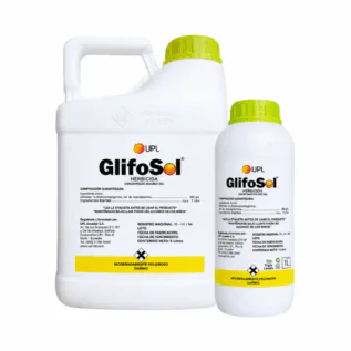 GlifoSol