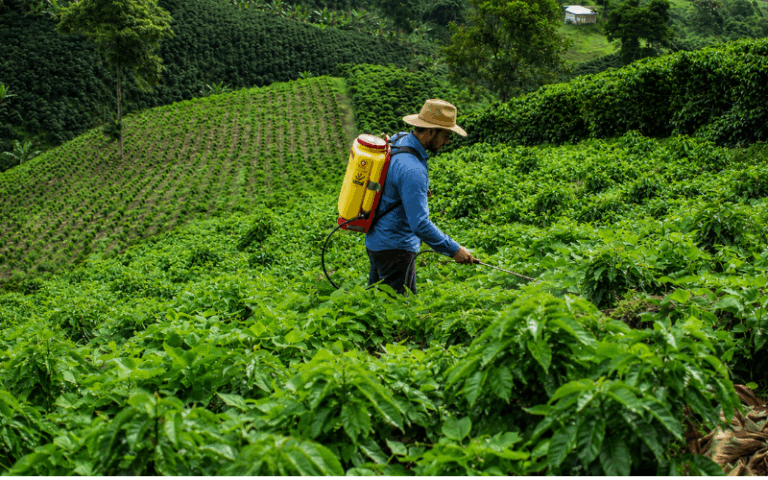 Protege tu cultivo este invierno con 2 poderosos fungicidas